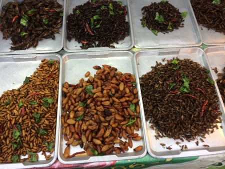  Tradičnou bielkovinovou pochúťkou v Ázii sú vyprážané kobylky a červíky. Dostať ich na každom rohu v centre Bangkoku.