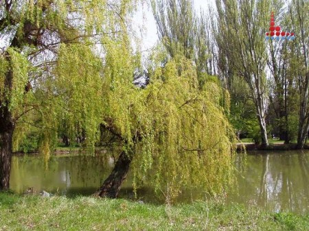 Mestský park 