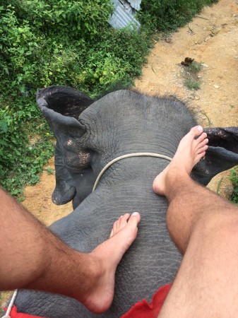 Polhodinová alebo hodinová jazda na slonoch cez džungľu - nezabudnuteľný zážitok za osem eur. Zjednávajte, pri všetkom!