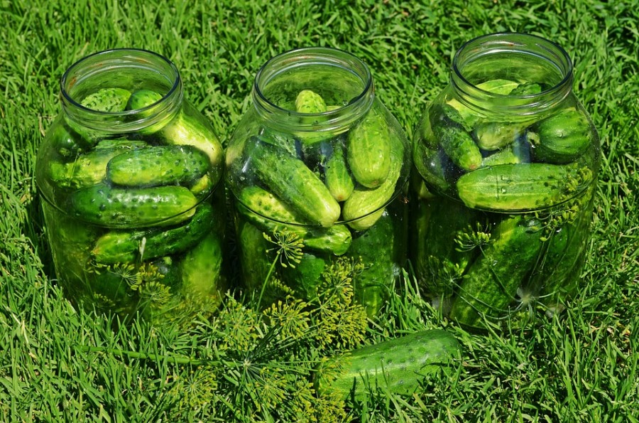 cucumbers-849268_960_720