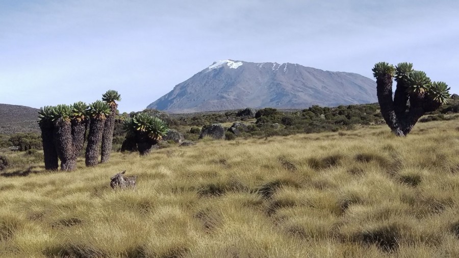 Kilimandžáro, foto: M. Boltižiar