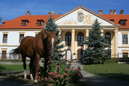 DSS Rohov - Foto 1